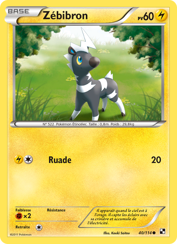 Zébibron 40 — Noir & Blanc (French Pokémon TCG card)
