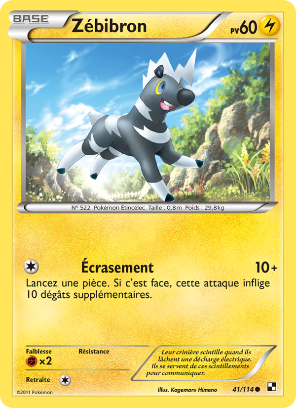 Zébibron 41 — Noir & Blanc (French Pokémon TCG card)