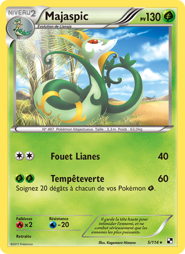 Majaspic 5 — Noir & Blanc (French Pokémon TCG card)