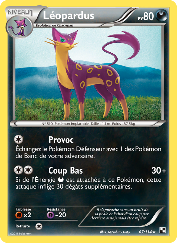 Léopardus 67 — Noir & Blanc (French Pokémon TCG card)