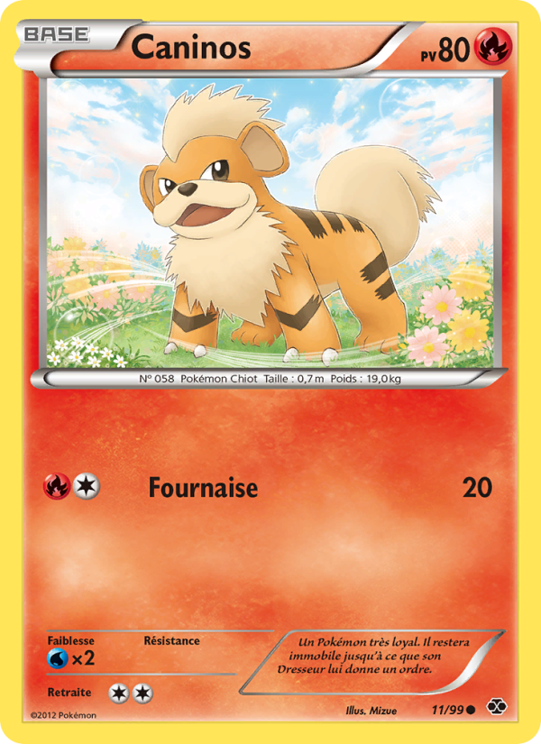 Caninos 11 — Destinées Futures (French Pokémon TCG card)