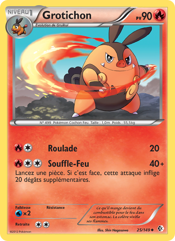 Grotichon 25 — Frontières Franchies (French Pokémon TCG card)