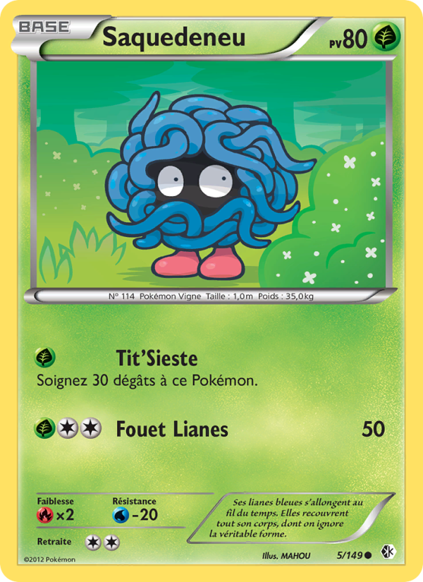 Saquedeneu 5 — Frontières Franchies (French Pokémon TCG card)