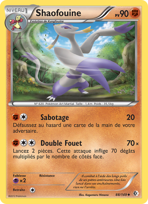 Shaofouine 88 — Frontières Franchies (French Pokémon TCG card)