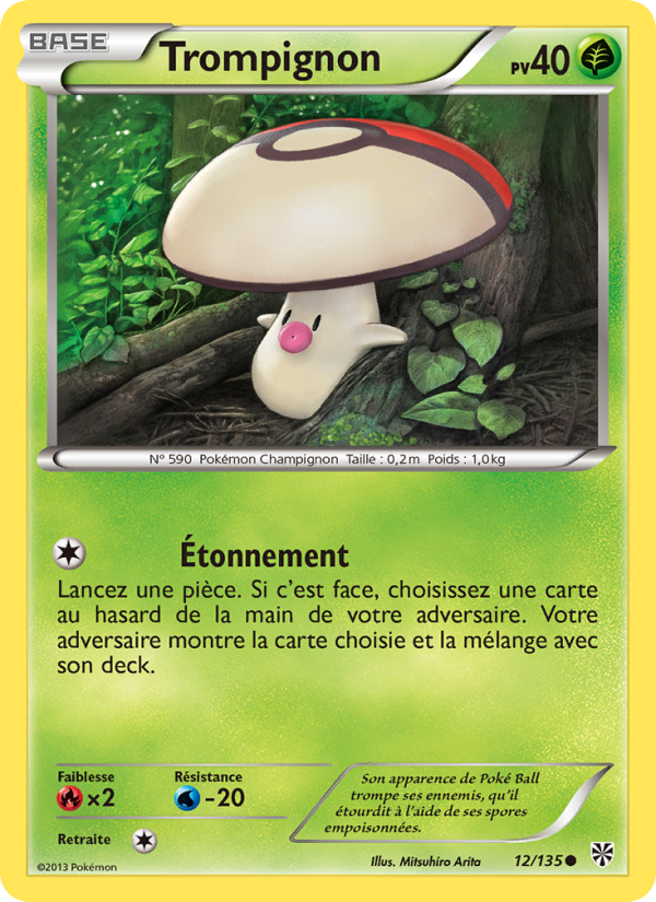 Trompignon 12 — Tempète Plasma (French Pokémon TCG card)