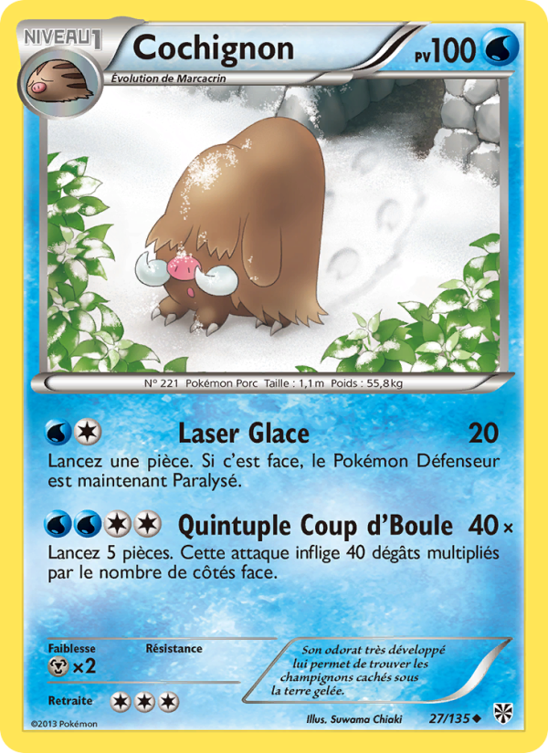 Cochignon 27 — Tempète Plasma (French Pokémon TCG card)