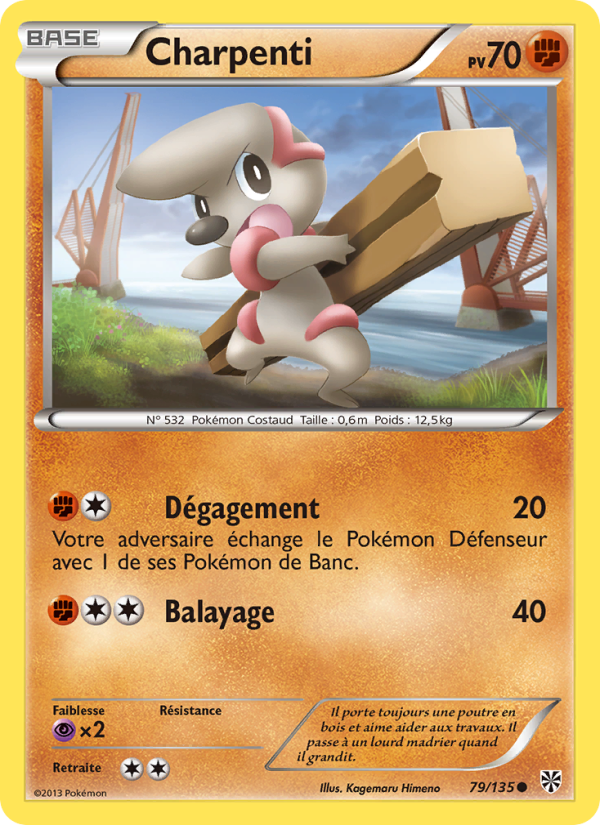 Charpenti 79 — Tempète Plasma (French Pokémon TCG card)
