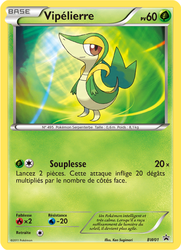 Extension Promo BW