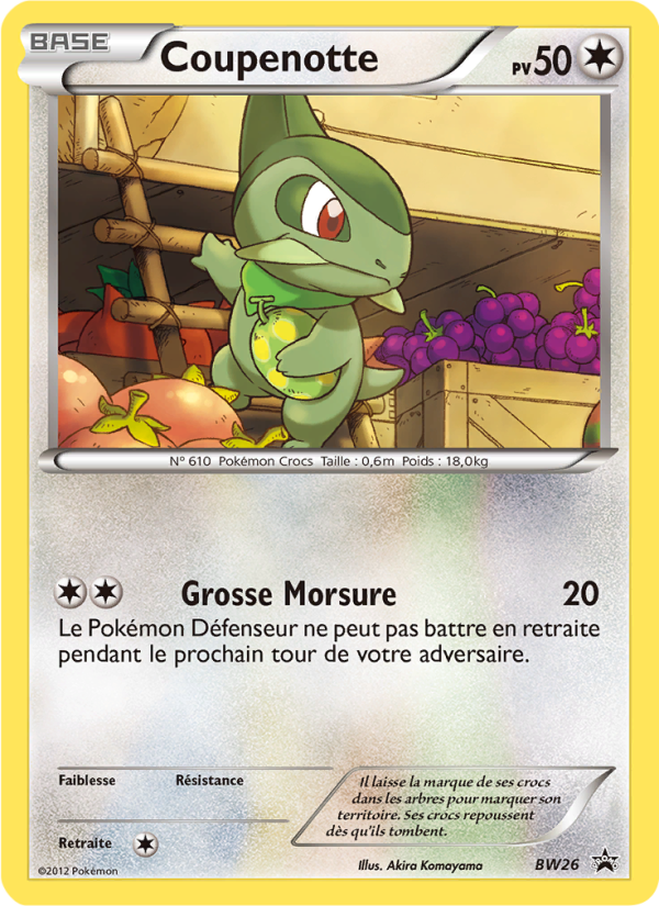 Coupenotte BW26 — Promo BW (French Pokémon TCG card)