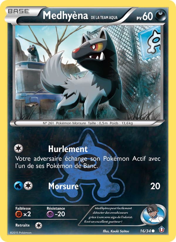 Medhyèna de la Team Aqua 16 — Double Danger (French Pokémon TCG card)