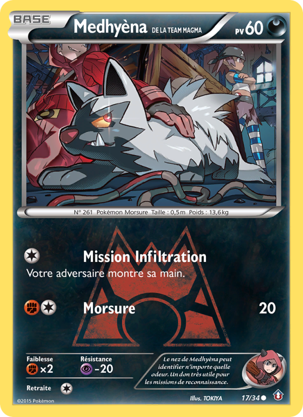 Medhyèna de la Team Magma 17 — Double Danger (French Pokémon TCG card)
