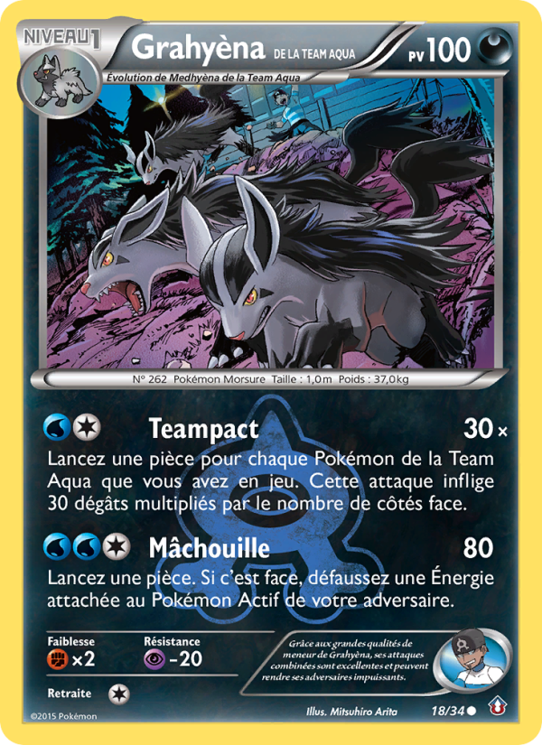 Grahyèna de la Team Aqua 18 — Double Danger (French Pokémon TCG card)