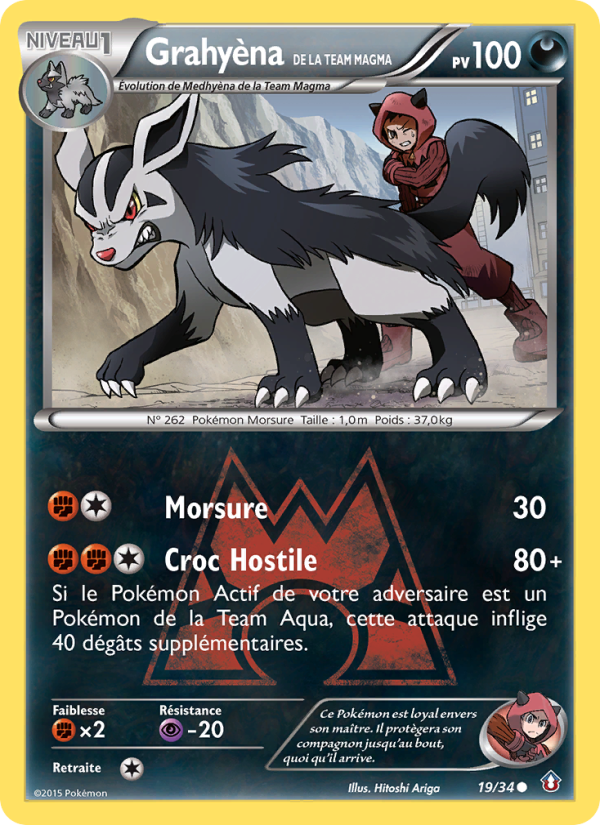 Grahyèna de la Team Magma 19 — Double Danger (French Pokémon TCG card)