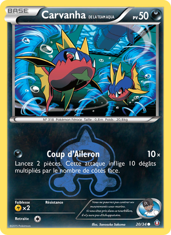 Carvanha de la Team Aqua 20 — Double Danger (French Pokémon TCG card)
