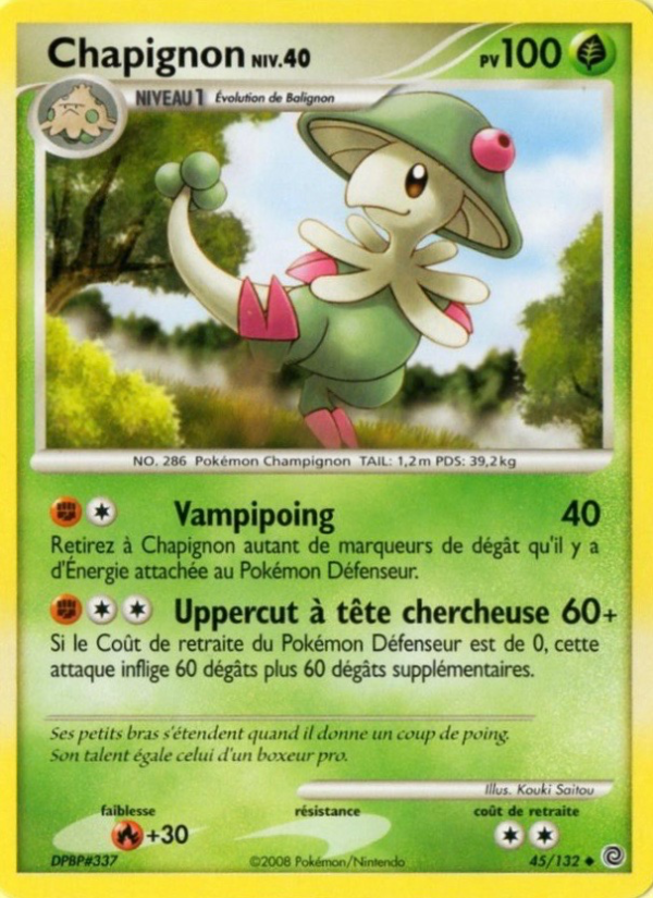 Chapignon 45 — Merveilles Secrètes (French Pokémon TCG card)