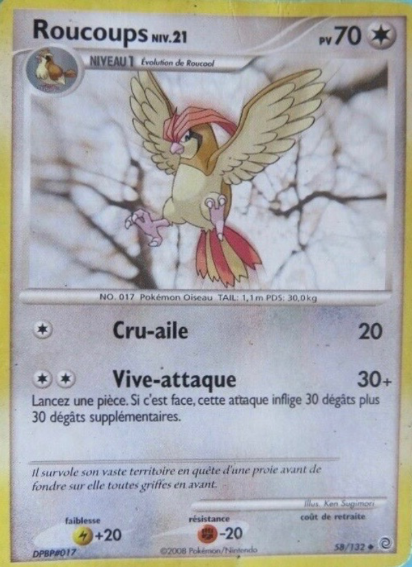 Roucoups 58 — Merveilles Secrètes (French Pokémon TCG card)