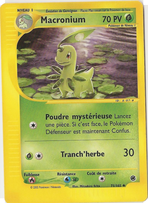 Macronium 71 — Expedition (French Pokémon TCG card)