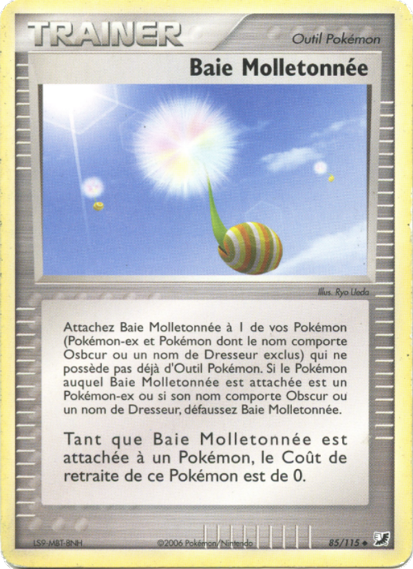 Baie Molletonnée 85 — EX Forces Cachées (French Pokémon TCG card)