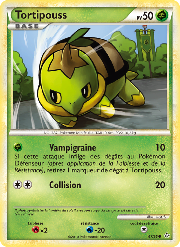 Tortipouss 67 — Déchaînement (French Pokémon TCG card)