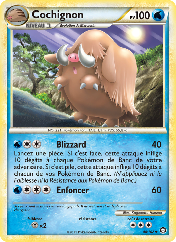 Cochignon 48 — Triomphant (French Pokémon TCG card)