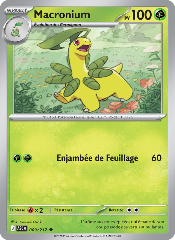 Macronium 009 — Héros Transcendants (French Pokémon TCG card)