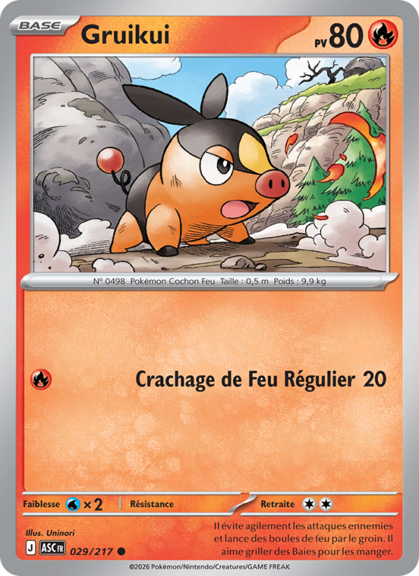 Gruikui 029 — Héros Transcendants (French Pokémon TCG card)