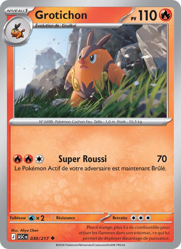 Grotichon 030 — Héros Transcendants (French Pokémon TCG card)
