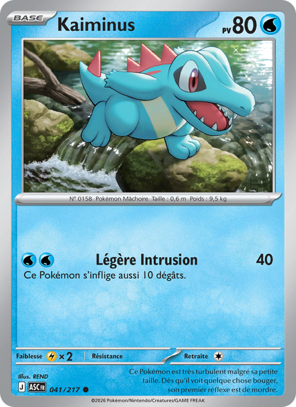 Kaiminus 041 — Héros Transcendants (French Pokémon TCG card)