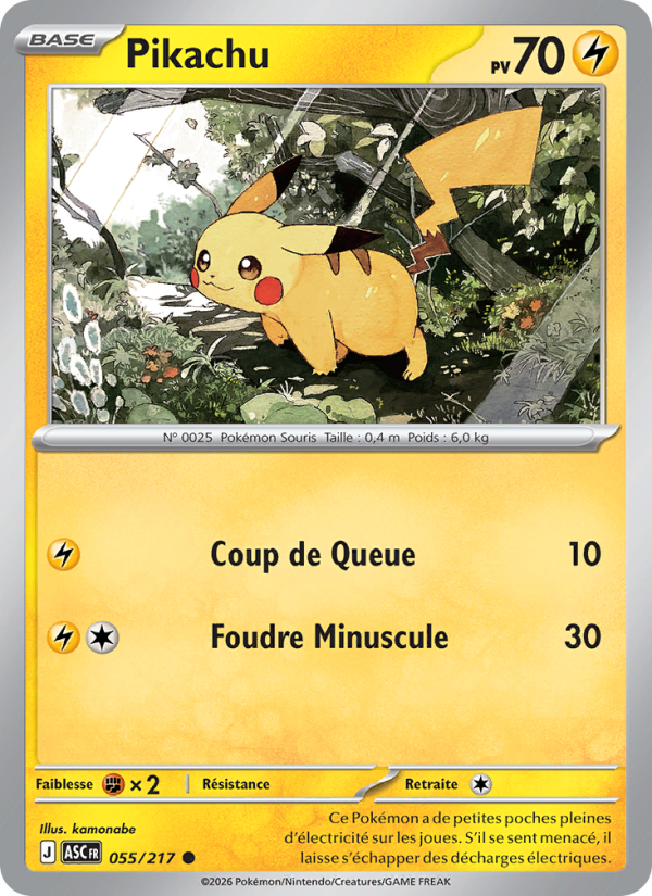 Pikachu 055 — Héros Transcendants (French Pokémon TCG card)