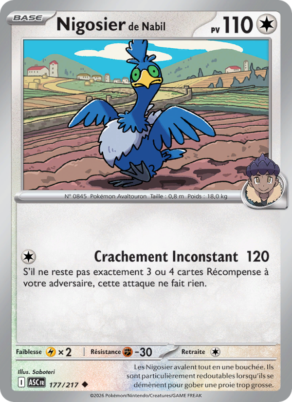 Nigosier de Nabil 177 — Héros Transcendants (French Pokémon TCG card)