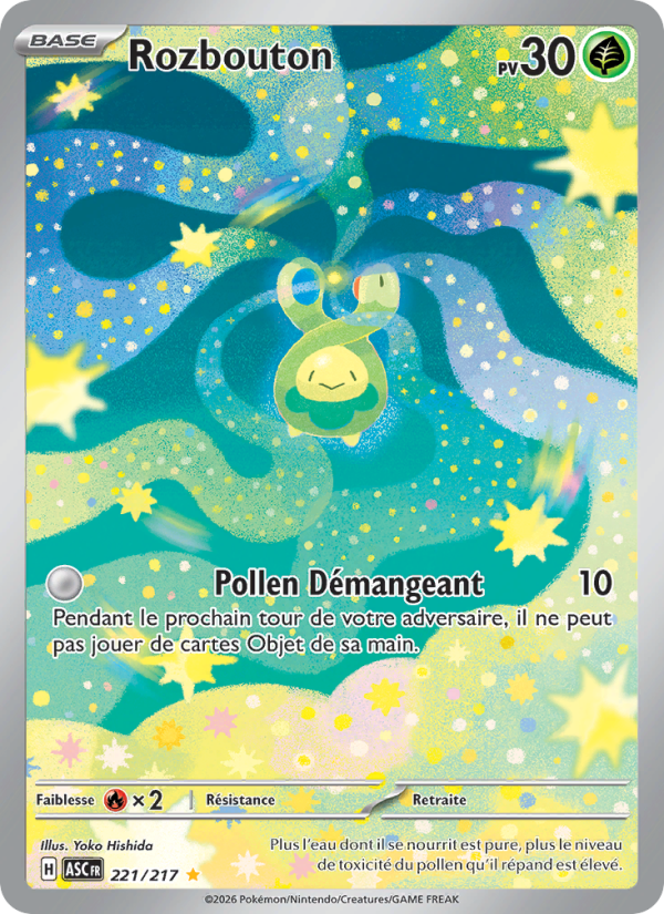 Rozbouton 221 — Héros Transcendants (French Pokémon TCG card)