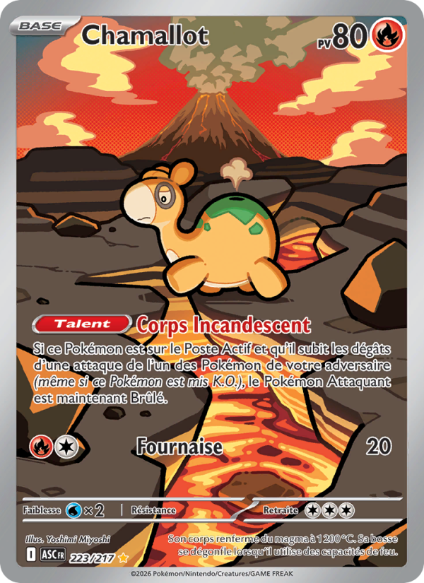 Chamallot 223 — Héros Transcendants (French Pokémon TCG card)