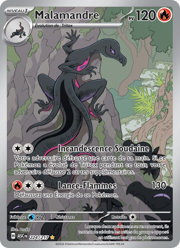 Malamandre 224 — Héros Transcendants (French Pokémon TCG card)