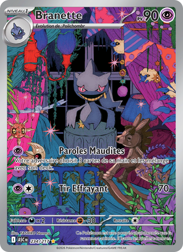 Branette 234 — Héros Transcendants (French Pokémon TCG card)