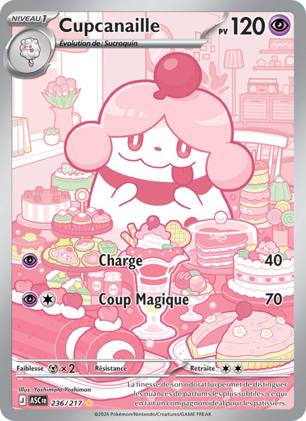 Cupcanaille 236 — Héros Transcendants (French Pokémon TCG card)