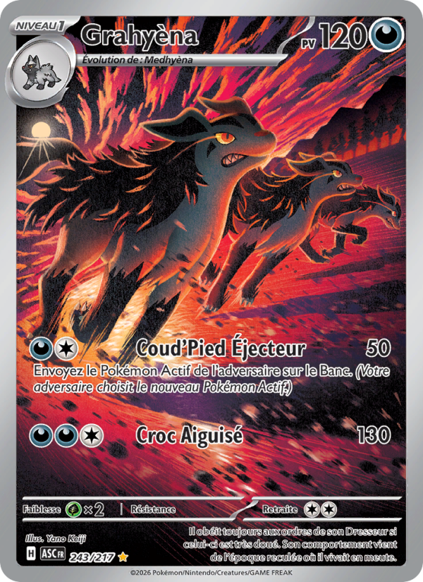 Grahyèna 243 — Héros Transcendants (French Pokémon TCG card)