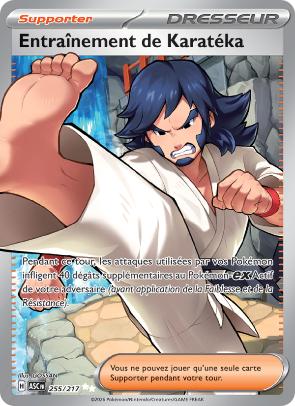 Entraînement de Karatéka 255 — Héros Transcendants (French Pokémon TCG card)