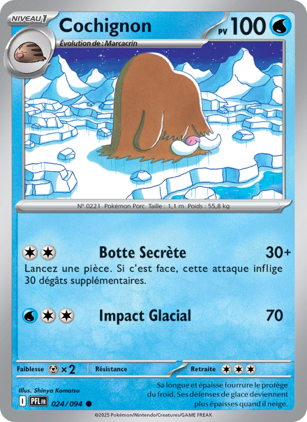 Cochignon 024 — Flammes Fantasmagoriques (French Pokémon TCG card)