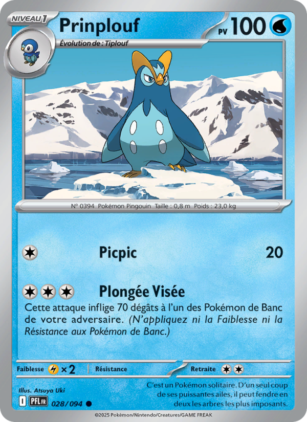 Prinplouf 028 — Flammes Fantasmagoriques (French Pokémon TCG card)