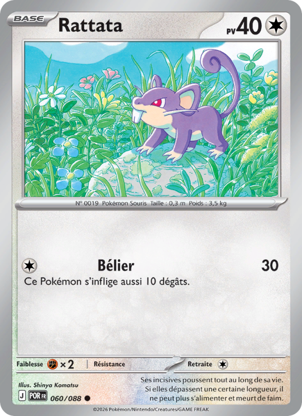 Rattata 060 — Équilibre Parfait (French Pokémon TCG card)