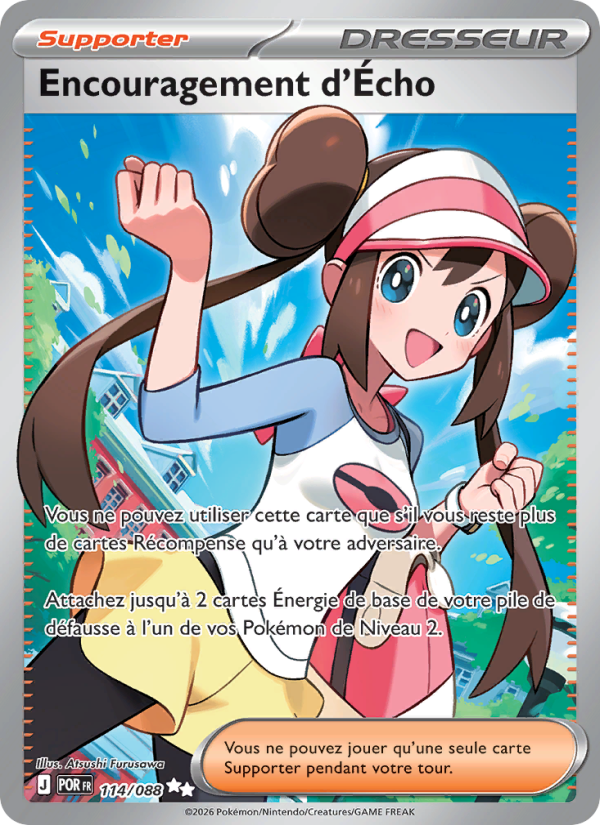 Encouragement d'Écho 114 — Équilibre Parfait (French Pokémon TCG card)
