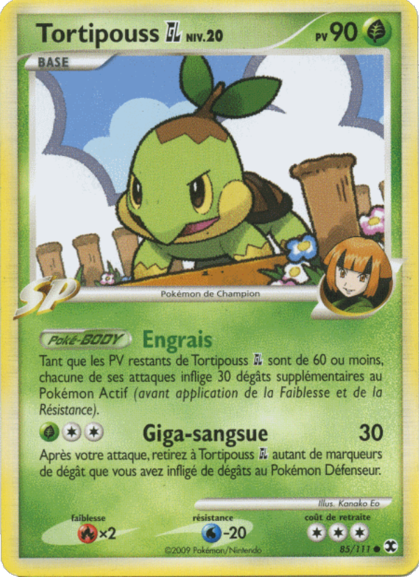 Tortipouss  Niv. 20 85 — Rivaux Émergeants (French Pokémon TCG card)