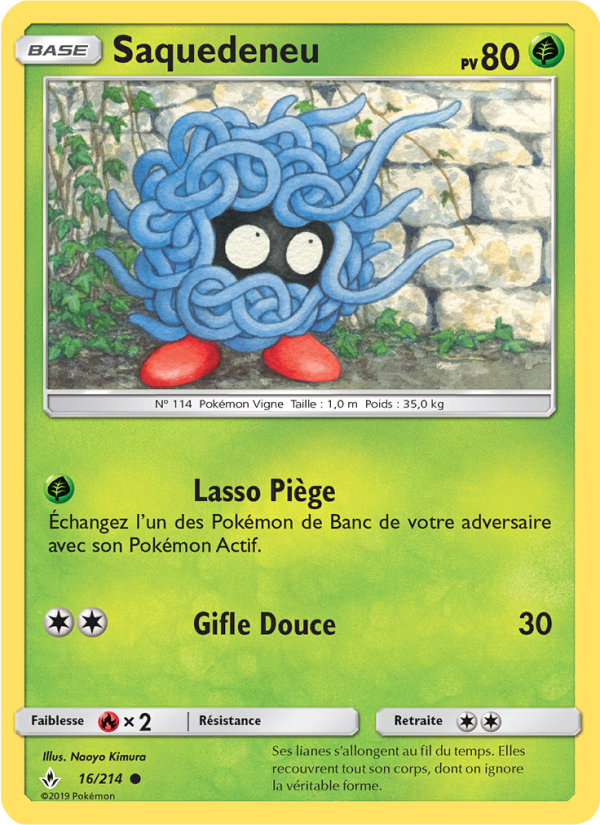 Saquedeneu 16 — Alliance Infaillible (French Pokémon TCG card)