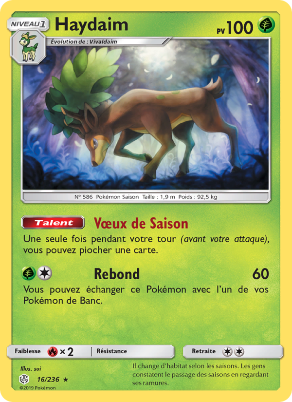 Haydaim 16 — Éclipse Cosmique (French Pokémon TCG card)