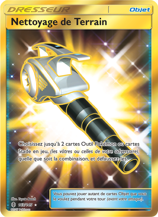 Nettoyage de Terrain 163 — Gardiens Ascendants (French Pokémon TCG card)