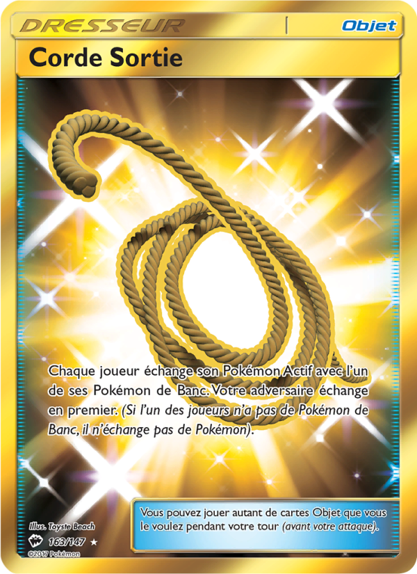 Corde Sortie 163 — Ombres Ardentes (French Pokémon TCG card)