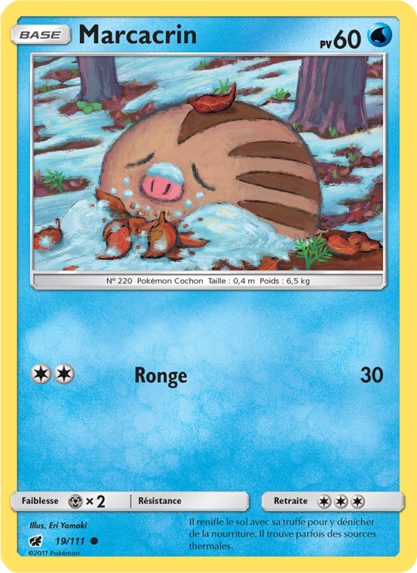 Marcacrin 19 — Invasion Carmin (French Pokémon TCG card)