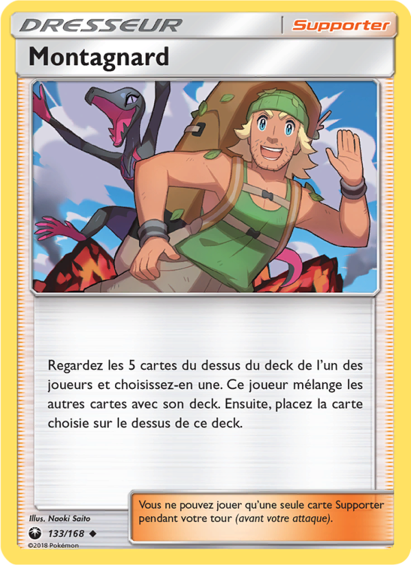 Montagnard 133 — Tempête Céleste (French Pokémon TCG card)