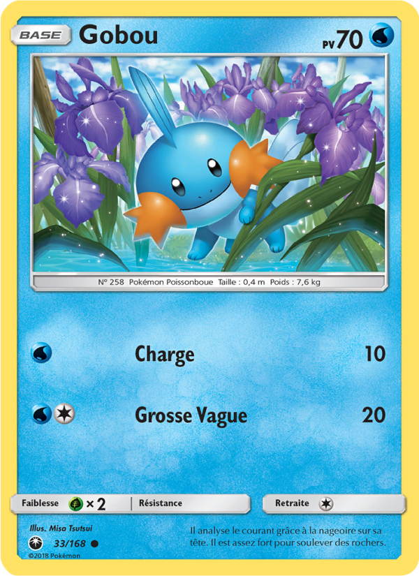 Gobou 33 — Tempête Céleste (French Pokémon TCG card)