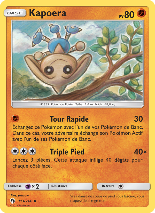Kapoera 113 — Tonnerre Perdu (French Pokémon TCG card)